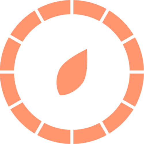 Voyager Logo