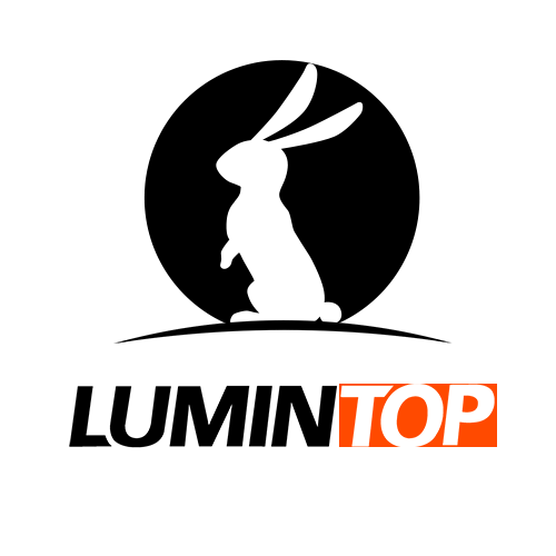 LUMIN TOP Logo