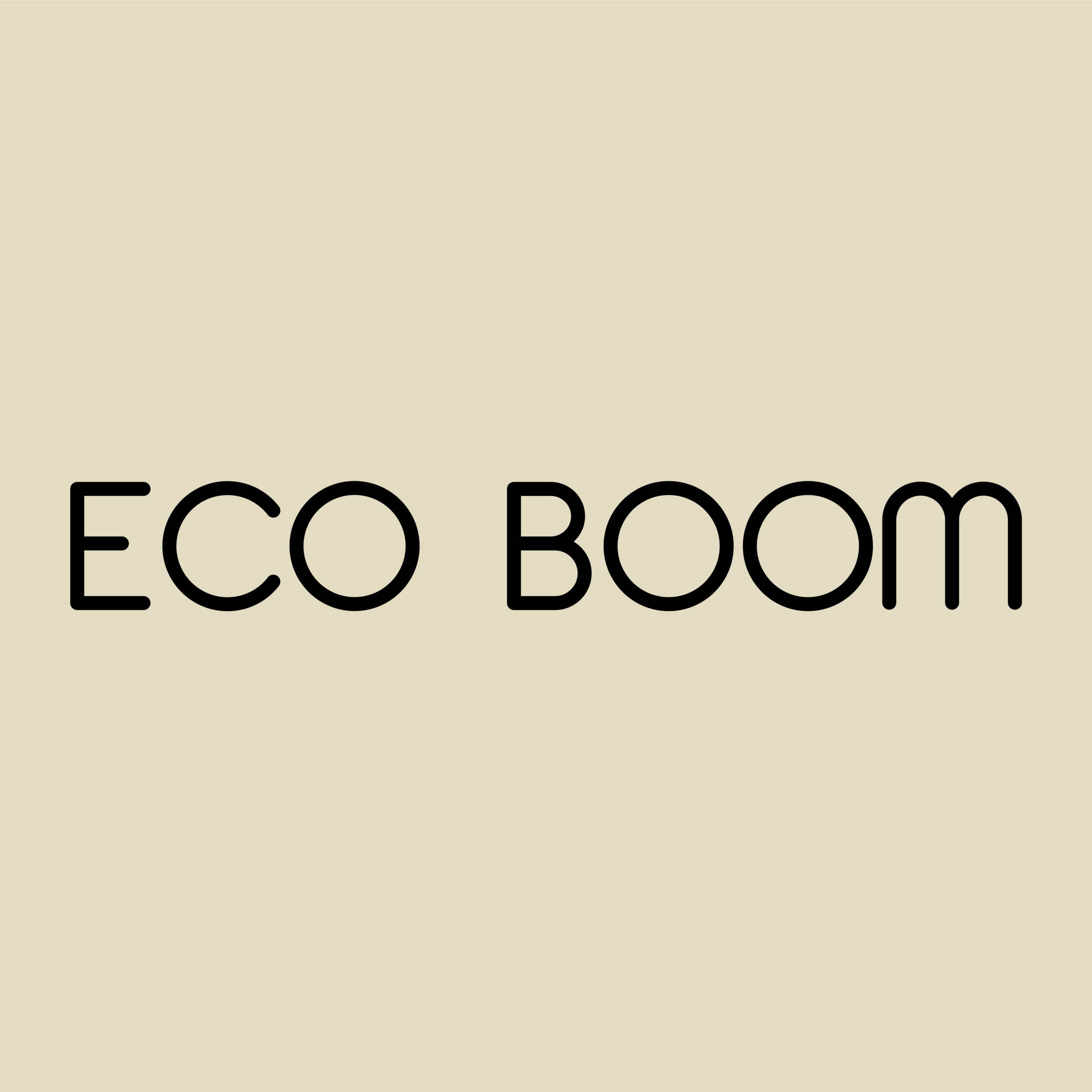 ECO BOOM Logo