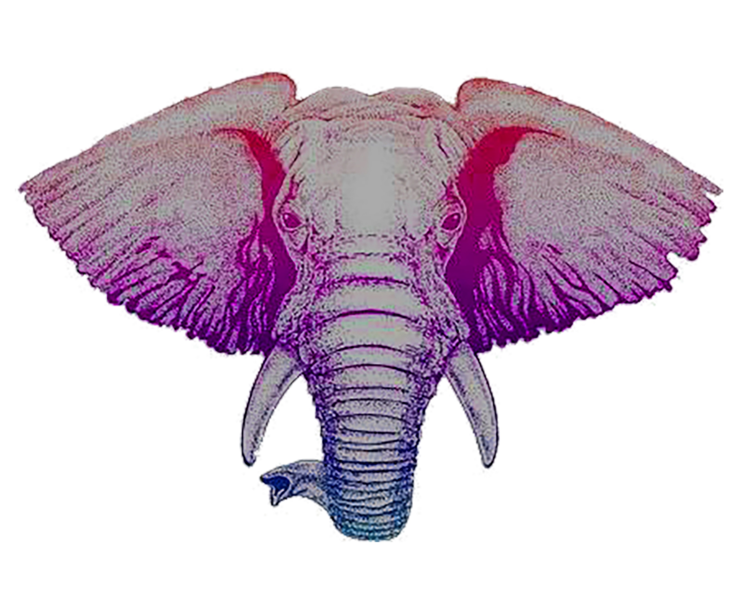 Exotic Elephant LLC Logo