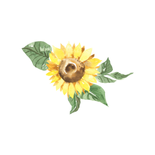 morecuteness Logo