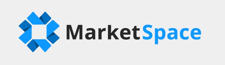 MarketSpace USA Logo